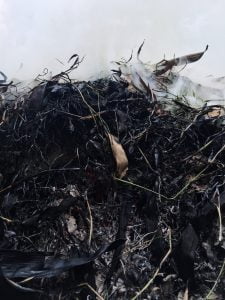 compost en cours de décomposition