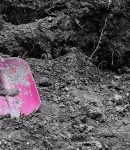 Compost : comment le faire et bien l'utiliser au jardin ? Faire son compost au jardin