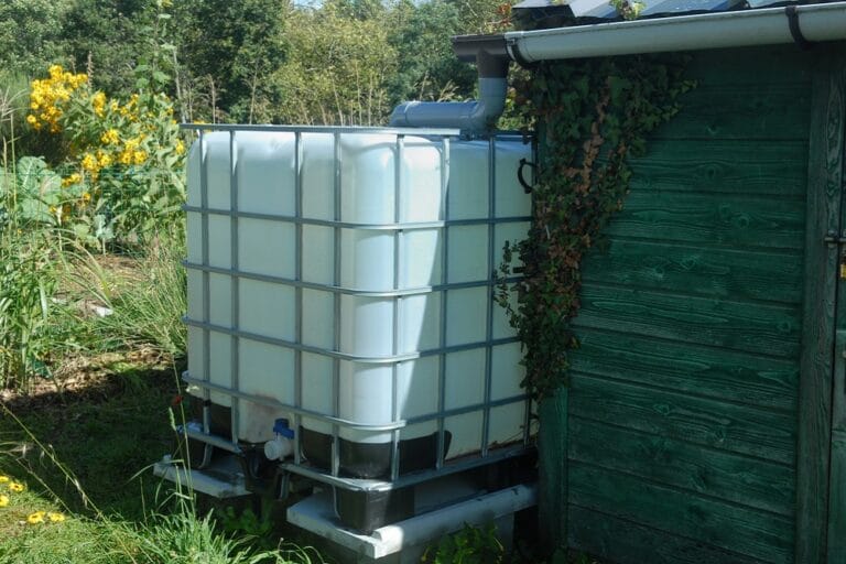Récupérer les eaux de pluies, un devoir écologique de jardinier