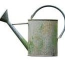 Comment arroser ? Comment arroser au jardin en permaculture