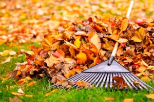 ratisser feuilles mortes en automne