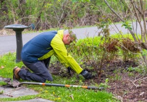Jardinier plantant un rosier au mois de janvier