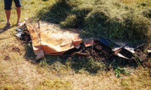 paillage pour démarrer un potager sans travail du sol