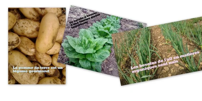 Exigences en matières organiques des légumes