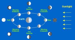 Rythmes lunaires et planétaires au jardin