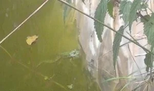 l'eau joue un rôle essentiel en permaculture