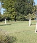 Le badigeon de chaux en usage arboricole verger-badigeon