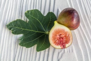 Feuilles de figuier