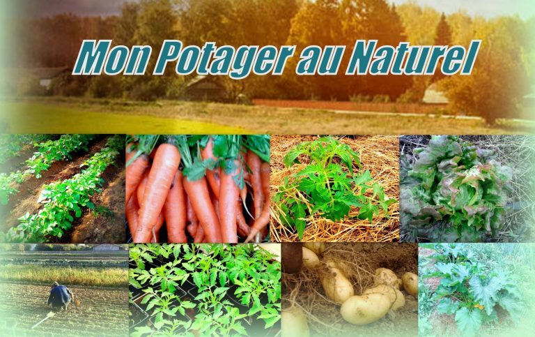 Mon Potager Naturel, guide pratique de jardinage en permaculture