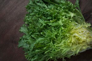 Chicorée frisée