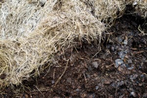 Compostage de de surface en permaculture