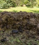 Utiliser le fumier en permaculture : guide pratique Fumier jardin en permaculture