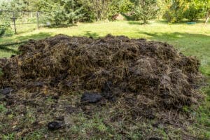 Fumier jardin en permaculture