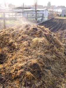 Tas de fumier de mouton en cours de compostage