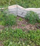 Couverture Permanente du Sol couverture permanente du sol au jardin en permaculture