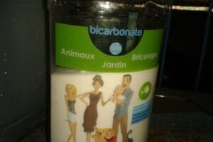 utiliser le bicarbonate de soude au jardin bio