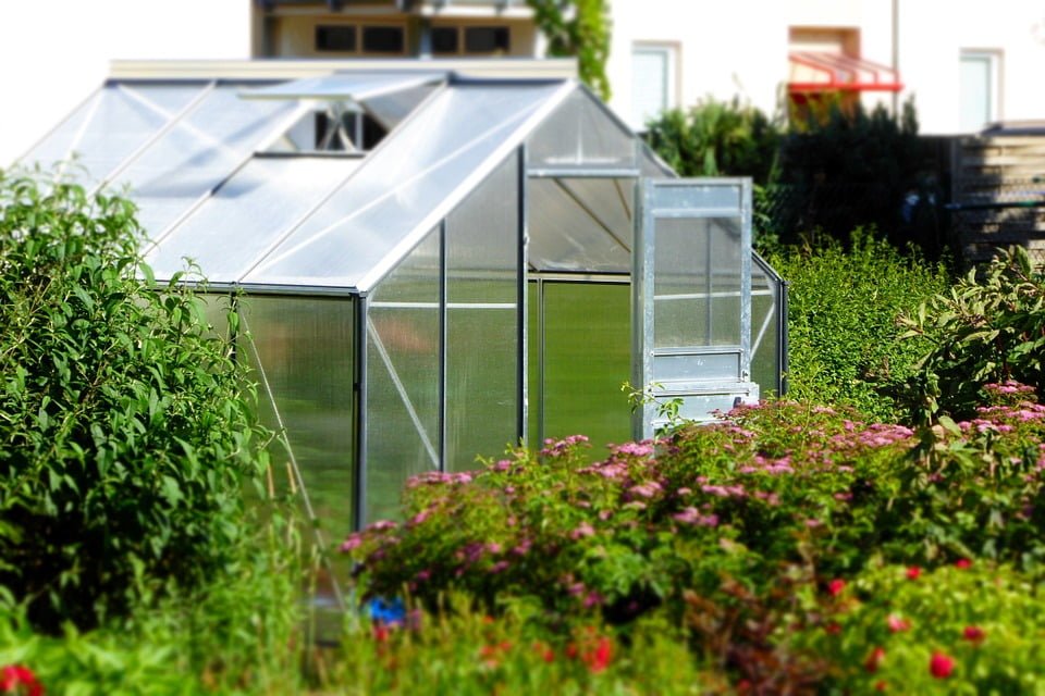 Serre de jardin - 4 critères essentiels pour bien la choisir