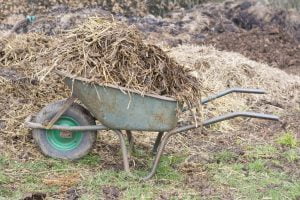 Déchets végétaux pour la vie du sol
