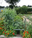 matériaux naturels pour rendre une terre vivante et fertile