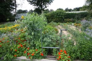 matériaux naturels pour rendre une terre vivante et fertile