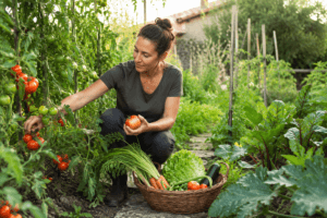 Femme récoltant des tomates et des légumes mûrs dans son potager
