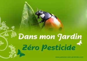 Zéro pesticides dans mon jardin