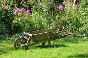 Bien démarrer saison jardin