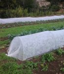 Comment cultiver des légumes toute l'année... ou presque ? Cultiver des légumes toute l'année - Protections hivernales