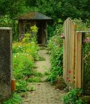 Jardin en Permaculture : initiation Jardin en permaculture
