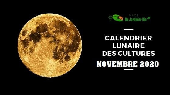 Calendrier lunaire cultures novembre 2020