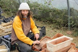 Pascal Poot, producteur de semences résistantes à la sécheresse