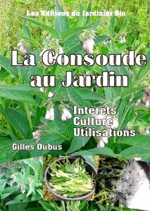 La consoude au jardin - intérêts, culture, utilisation