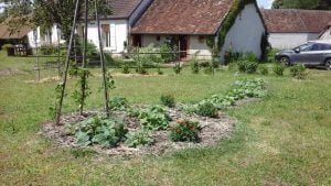 Courges paillées