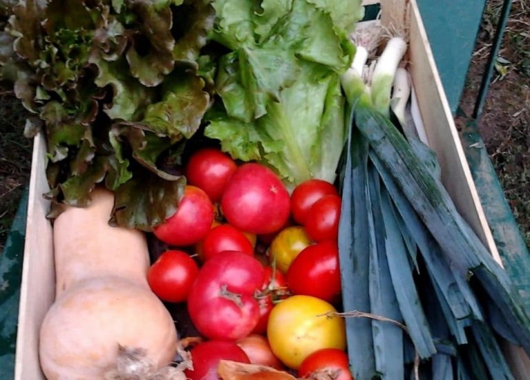 Le goût des fruits et légumes