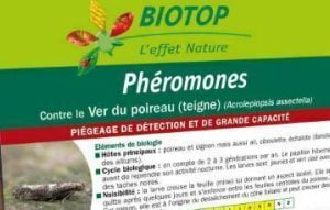 Pièges à phéromones contre le ver du poireau