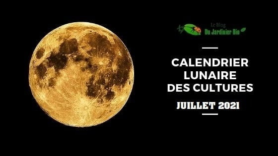 calendrier lunaire juillet 2021 - jardin