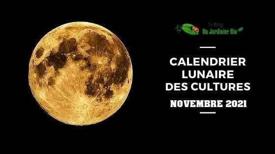 calendrier lunaire novembre 2021 - jardin