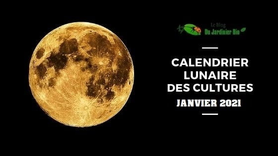 Calendrier Lunaire Des Cultures Au Jardin calendrier lunaire mai 2021 tomates