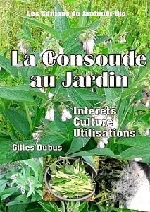 La consoude au jardin