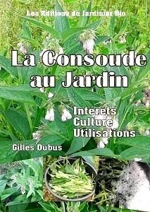 La consoude au jardin