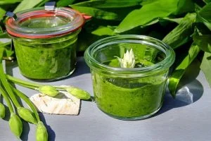 ail des ours pesto