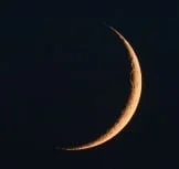 nouvelle lune, une phase particulière pour jardiner avec la lune