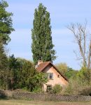 Jardin Forêt en Permaculture Jardin forêt