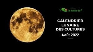 Calendrier lunaire août 2022