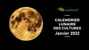 Calendrier lunaire janvier 2022