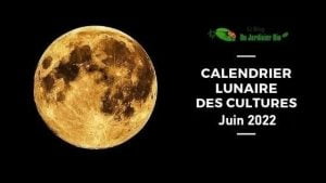 Calendrier lunaire juin 2022