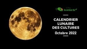 calendrier lunaire octobre 2022