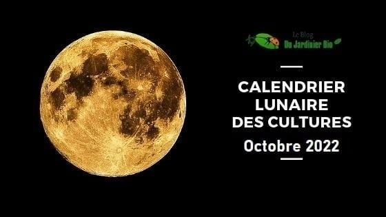 calendrier lunaire octobre 2022