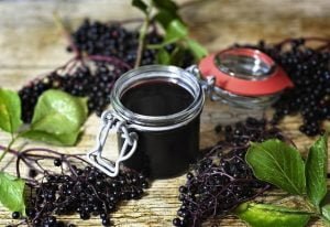 Gelée de baies de sureau noir