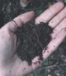 Connaître la nature de votre sol : texture, pH et richesse expliqués Identifier la nature du sol de votre jardin : texture, pH et fertilité pour de meilleures cultures